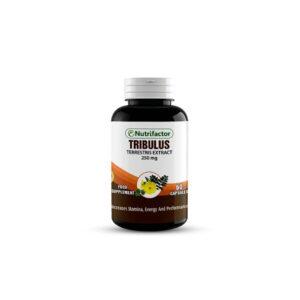 nutrifactor-tribulus-250mg-capsule-60-tablets