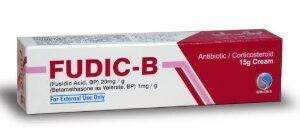 Fudic B
